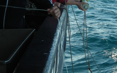 LICITACIÓN CONTRATACIÓN 2026 M10_PPYC2024-2026 – CAMPAÑA DE COMUNICACIÓN PESCA DE ARRASTRE DE FONDO