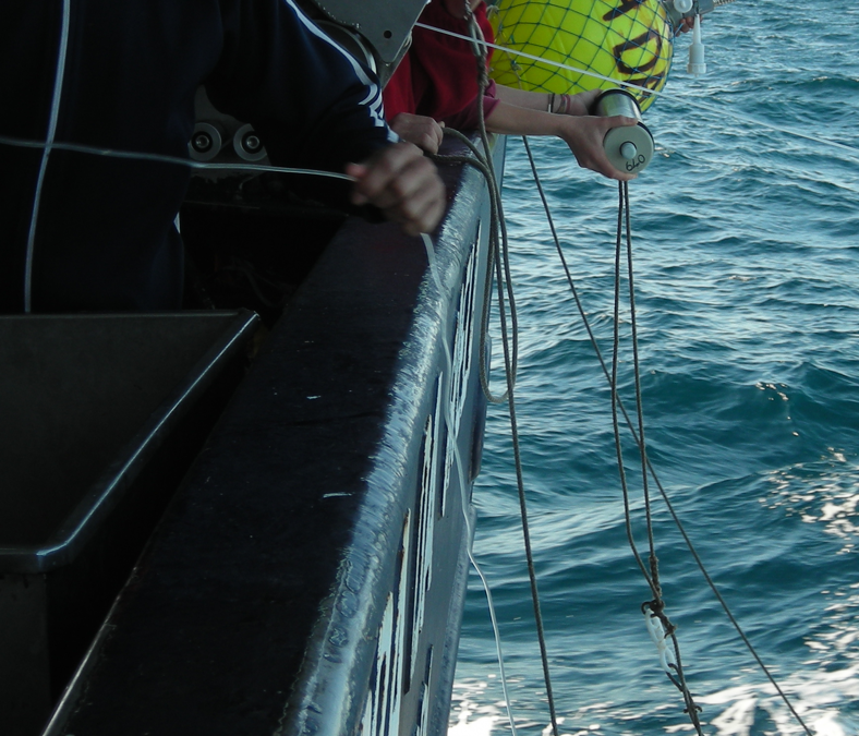 LICITACIÓN CONTRATACIÓN 2026 M10_PPYC2024-2026 – CAMPAÑA DE COMUNICACIÓN PESCA DE ARRASTRE DE FONDO