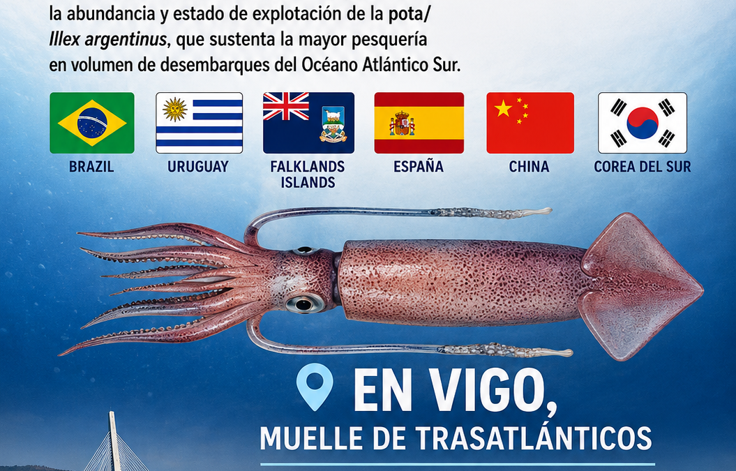 IV Taller Científico sobre la pota (Illex Argentinus)