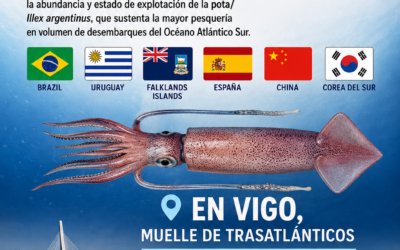 IV Taller Científico sobre la pota (Illex Argentinus)