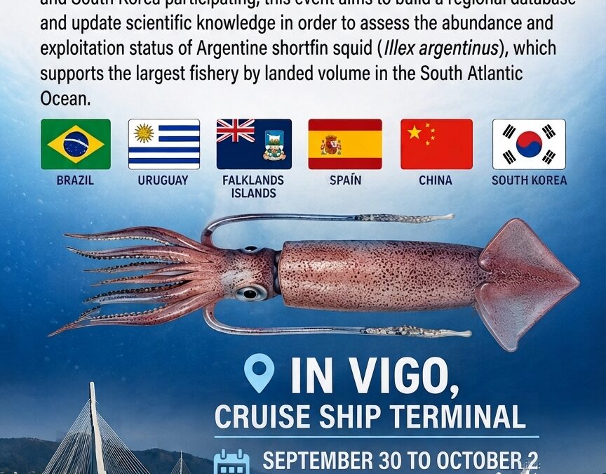 4th Scientific Workshop on Argentine Shortfin Squid (Illex Argentinus) – English Version